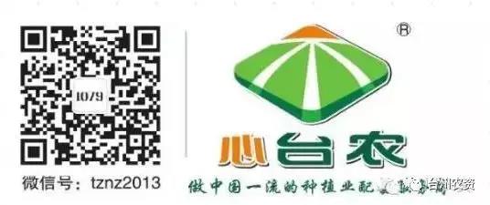 臺州農(nóng)資攜手意大利啟騰與浙柑所達成戰(zhàn)略合作，開啟柑橘可持續(xù)栽培研究新篇章！