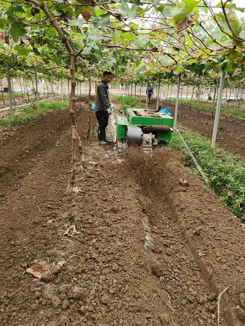 臺州農資 臺州農資